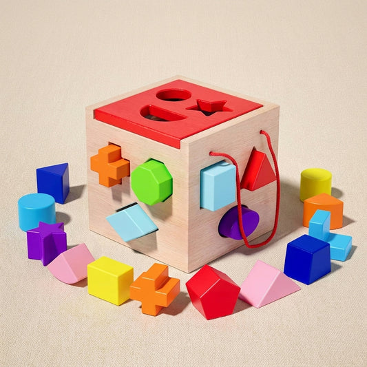 Geometric Shape Puzzle Early Educational Toy